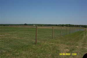 Horse Farm